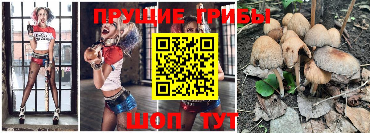 Псилоцибиновые грибы GOLDEN TEACHER  Вход с VPN  Богородск 