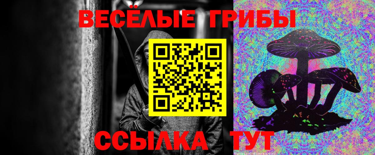 Псилоцибиновые грибы GOLDEN TEACHER Богородск